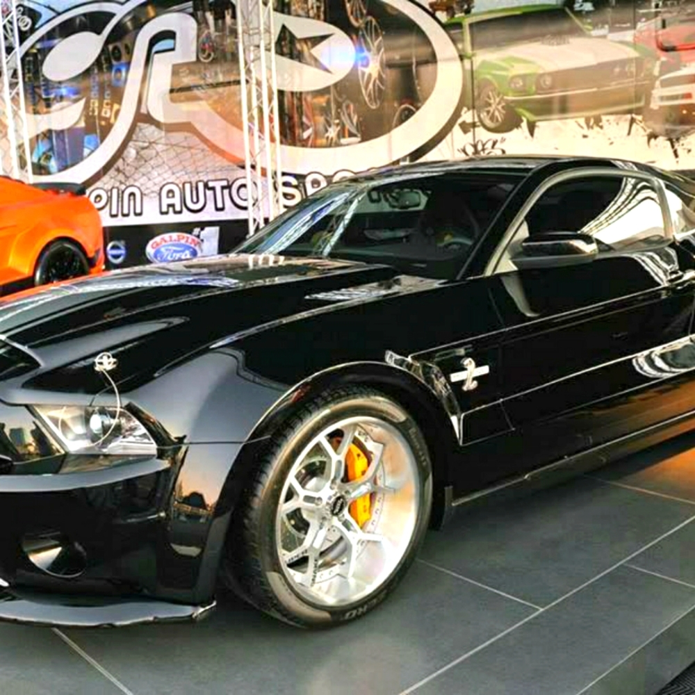 Meet your Posher, Steven